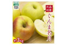 ぐんま名月 りんご 約3kg