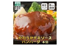 やわらかデミソースハンバーグ6個セット