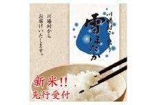 先行受付!＜令和7年度産＞　雪ほたか5kg　＜川場村産こしひかり＞【1329374】