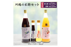 川場のお酢セット (飲む酢・原酢4本セット)【1402612】