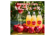 ＜川場村直送＞ストレートりんごジュース1000ml×3本入り【1492868】