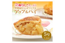完熟りんごたっぷり 果樹園カフェのアップルパイ 5号(5～6人用)【1598951】