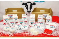 昭和村の牧場発、プレミアム乳製品詰め合わせ　Eセット