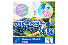 7・8月限定！ブルーベリー食べ放題！ペアチケット