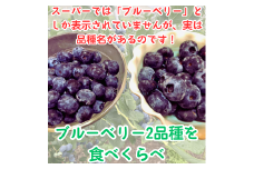 ７・８月限定！完熟ブルーベリー２種類食べ比べセット！