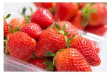 みなかみ町産　いちご「やよいひめ」１.２ｋｇ