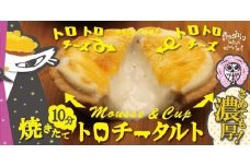 【ジャック・ザ・タルトファンタジー】みなかみ焼きたてチーズタルト（５個入り）