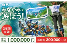 ふるさと納税感謝券「MINAKAMI HEART TICKET」300,000円分 群馬県 みなかみ町 旅行 温泉 アウトドア スキー グルメ キャンプ ゴルフ 体験 飲食店 観光 旅館 宿泊 ホテル