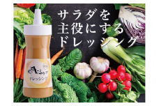 雨ニモマケズ特製ドレッシング・１２本セット
