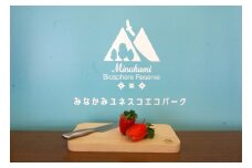 無有のまな板/小（天然ナラ） スモーク用チップ付き