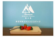 無有のまな板（天然ナラ） スモーク用チップ付き