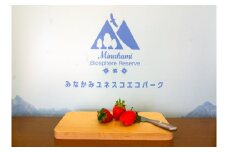 無有のまな板〈ロゴ無し〉（天然ナラ） スモーク用チップ付き