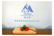 無有のまな板/小〈ロゴ無し〉（天然ナラ） スモーク用チップ付き
