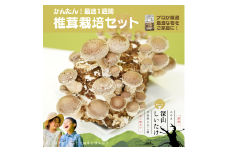 【月夜野きのこ園】深山しいたけ 栽培セット（1個入り）