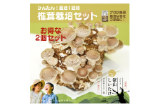 【月夜野きのこ園】深山しいたけ 栽培セット（2個入り）