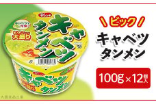 3822 マイフレンド ビック キャベツタンメン 100g×12個入【大黒食品工業】