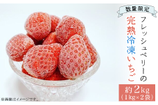＜数量限定！！＞フレッシュベリーの完熟冷凍いちご！大中小サイズ混合約２kg（１kg×２袋）やよいひめ・かおり野・紅ほっぺ・もういっこ ≪イチゴ 苺 ジャム ヨーグルト おやつ≫