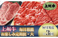 「上州牛」毎月堪能お楽しみ定期便（大）【毎月発送×3回お届け】