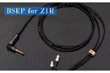 BSEP for Z1R