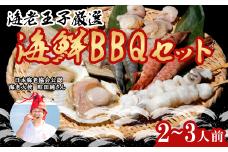 海鮮BBQセット 2～3人前 えび イカ ホタテ つぶ貝 シマホッケ