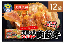大阪王将 羽根つきスタミナ肉餃子 12袋セット