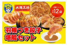 大阪王将 羽根つき餃子堪能セット(4種アソート)計12袋