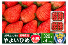 いちご（やよいひめ）小粒 4パック 採りたて苺！産地直送 イチゴ ストロベリー 生