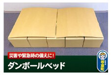 ダンボールベッド