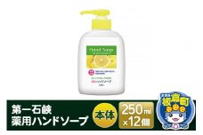 第一石鹸 薬用ハンドソープ 本体 250ml×12個