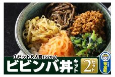 ビビンバ丼キット 2セット 合計12人前（1セット6人前：520g）