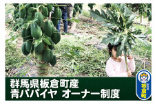 群馬県板倉町産 青パパイヤ オーナー制度