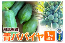 【発送期間限定】青パパイヤ 5kgセット（1kg×5玉）群馬県産 国産 フルーツ 果物 南国 トロピカル