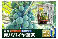 群馬県板倉町産 青パパイヤ葉茶（40g×2袋）リーフティー 粉末タイプ 国産 フルーツ 果物 南国 トロピカル