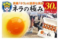 ネラの極み 卵 たまご 30個（10個×3パック）
