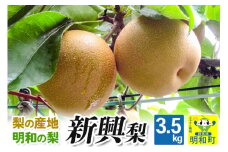 梨（新興）3.5kg【10月中旬～10月下旬にお届け】