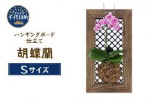 観葉植物 洋ラン 胡蝶蘭 ハンギングボード仕立て Ｓサイズ（１個）  群馬県 千代田町 ハンギングボード仕立て 鉢 花 プレゼント ギフト 贈答用 送料無料 株式会社チャーム