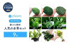 水草 置くだけ簡単 人気の水草 ９点セット 水上葉  群馬県 千代田町 インテリア ナチュラル 自然 リラクゼーション 室内栽培 プレゼント 送料無料 趣味 緑 人気 オススメ 初心者 玄関 リビング 水槽 アクアリウム 株式会社チャーム