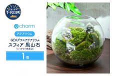 観葉植物 ＧＥＸ グラスアクアリウム スフィア 風山石 レイアウト完成品 １個  群馬県 千代田町 インテリア ナチュラル 自然 リラクゼーション 室内栽培 プレゼント 送料無料 趣味 緑 人気 オススメ 初心者 玄関 リビング キッチン 水槽 テラリウム 株式会社チャーム