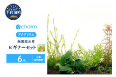 水草 ビギナー6点セット 無農薬 (1パック) 説明書付  群馬県 千代田町 インテリア ナチュラル 自然 リラクゼーション 室内栽培 プレゼント 送料無料 趣味 緑 人気 オススメ 初心者 玄関 リビング 水槽 アクアリウム 株式会社チャーム