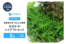 水草 おまかせ水上葉 レイアウトセット 60cm 水槽用 8種 無農薬 (1パック) 水草説明書付  群馬県 千代田町 インテリア ナチュラル 自然 リラクゼーション 室内栽培 プレゼント 送料無料 趣味 緑 人気 オススメ 初心者 玄関 リビング 水槽 アクアリウム 株式会社チャーム