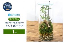 苔テラリウム トキワシノブ 円柱ボトルＳサイズ 蓋付（１個）  群馬県 千代田町 インテリア ナチュラル 自然 リラクゼーション 室内栽培 プレゼント 送料無料 趣味 緑 人気 オススメ 初心者 玄関 リビング 株式会社チャーム