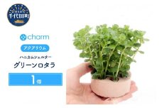 ハニカムシェルター グリーンロタラ 水上葉 無農薬（１個）群馬県 千代田町 趣味 オススメ 初心者 玄関 リビング 水槽 アクアリウム インテリア ナチュラル 自然 リラクゼーション おしゃれ プレゼント 贈答用 送料無料 趣味 風水 ライフスタイル 人気 オススメ 玄関 北海道冬季発送不可 株式会社チャーム