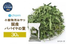 ＵＳＡＹＡＭＡ　国産　パパイヤ　細切り　３０ｇ　お徳用パック　群馬県 千代田町 食物繊維 ビタミン ウサギ モルモット チンチラ デグー ハムスター 小動物おやつ 国産 うさぎ おやつ ペットフード プレゼント ギフト 贈答用 送料無料 趣味 緑 ライフスタイル 人気 オススメ 初心者 玄関 リビング キッチン 株式会社チャーム