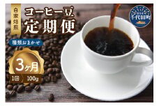 【3ヵ月定期便】自家焙煎コーヒー豆 100g×3ヵ月 種類おまかせ スペシャルティコーヒー こだわり 目利き 焙煎 自家焙煎 ティータイム 人気 群馬県 千代田町
