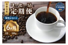 【6ヵ月定期便】自家焙煎コーヒー豆 100g×6ヵ月 種類おまかせ スペシャルティコーヒー こだわり 目利き 焙煎 自家焙煎 ティータイム 人気 群馬県 千代田町