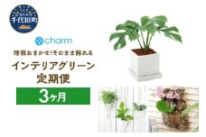 植物専門店が選ぶ「そのまま飾れるインテリアグリーン定期便」３カ月 インテリア おしゃれ 送料無料 株式会社チャーム