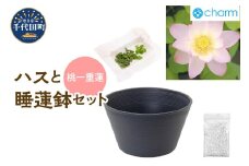 ハスと睡蓮鉢セット 桃一重蓮   群馬県千代田町 ビオトープ インテリア ナチュラル かわいい リラクゼーション 室内栽培 プレゼント ギフト 贈答用 お祝い 送料無料 趣味  家庭 ライフスタイル 人気 オススメ 初心者 玄関リビング キッチン 株式会社チャーム