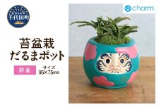 苔盆栽 オモト 群雀 だるまポット 群馬県 千代田町 抗火石 鉢植え インテリア 癒し プレゼント ギフト 贈答用 内祝い お祝い 送料無料 株式会社チャーム