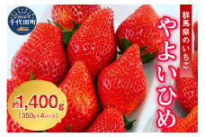 《先行予約》2026年1月発送※ いちご「 やよいひめ 」約350g×4パック 群馬県 千代田町 大粒 完熟収穫 大容量 とれたて 新鮮 送料 無料 数量 限定 甘い 豊かな 香り 贅沢 ご褒美 イチゴ ストロベリー 贈答 贈り物 ギフト プレゼント 家族 で 楽しむ フルーツ