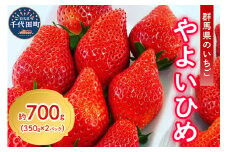 《先行予約》2026年1月発送※ いちご「 やよいひめ 」約350g×2パック 群馬県 千代田町 ＜斉藤いちご園＞
